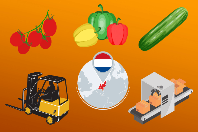 Buitenlanders in Nederland op Zetnets.nl